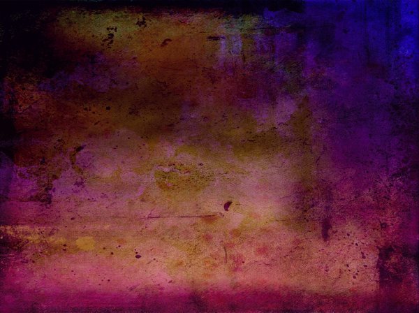 Quelles plantes pour un jardin d'ombre en ville ?