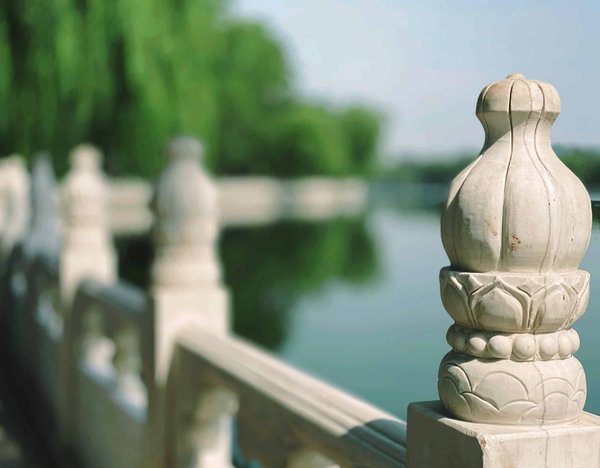 Balustrade sur mesure : un équipement pouvant être personnalisé