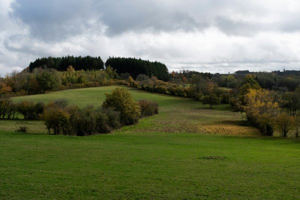 Vivre à la campagne ou à la montagne : avantages et inconvénients de chaque option